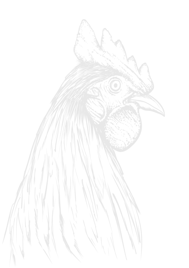 Illustration eines Huhns in grau.